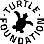 10 Best Charities for Protecting Sea Turtles (Complete 2024 List).
